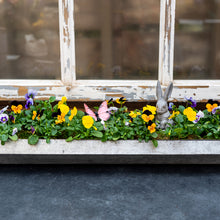 Load image into Gallery viewer, Galvanized Trough Planter - Spring Edition