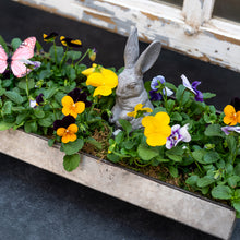 Load image into Gallery viewer, Galvanized Trough Planter - Spring Edition