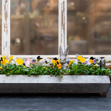 Load image into Gallery viewer, Galvanized Trough Planter - Spring Edition