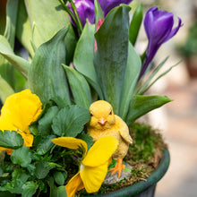 Load image into Gallery viewer, Eclectic Garden Arrangement - Spring