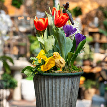 Load image into Gallery viewer, Eclectic Garden Arrangement - Spring