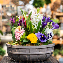 Load image into Gallery viewer, Spring Blooming Baskets