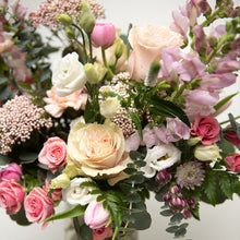 Load image into Gallery viewer, Clara