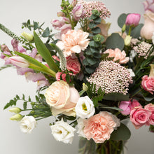 Load image into Gallery viewer, Clara