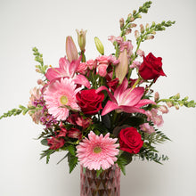 Load image into Gallery viewer, Rhoda