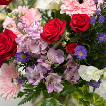 Load image into Gallery viewer, Mia