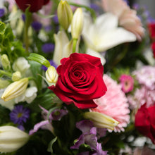 Load image into Gallery viewer, Mia