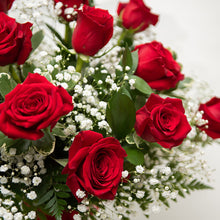 Load image into Gallery viewer, Rosa