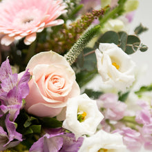 Load image into Gallery viewer, Victoria