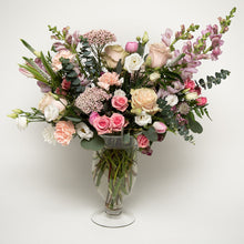 Load image into Gallery viewer, Clara