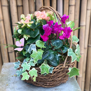 Blooming Baskets