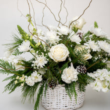 Load image into Gallery viewer, Charlotte