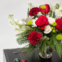 Load image into Gallery viewer, Cindy