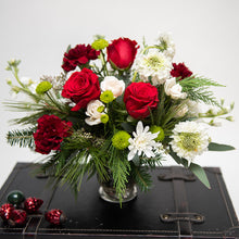 Load image into Gallery viewer, Cindy