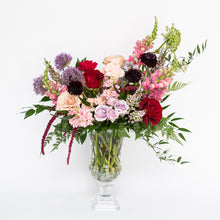 Load image into Gallery viewer, Clara