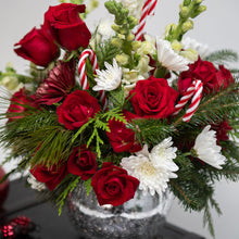 Load image into Gallery viewer, Cocoa