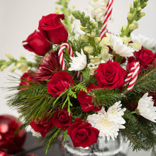 Load image into Gallery viewer, Cocoa