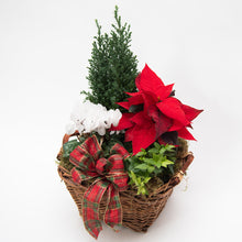 Load image into Gallery viewer, Drummer