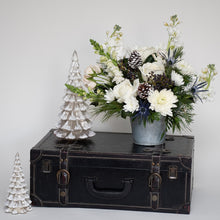 Load image into Gallery viewer, Frost