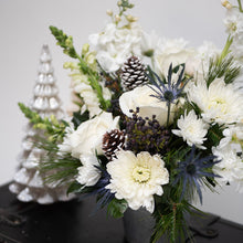 Load image into Gallery viewer, Frost