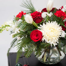 Load image into Gallery viewer, Jovie