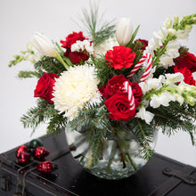 Load image into Gallery viewer, Jovie