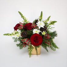 Load image into Gallery viewer, Merri