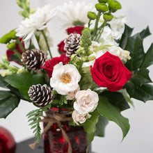 Load image into Gallery viewer, Nicky