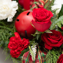 Load image into Gallery viewer, Noel