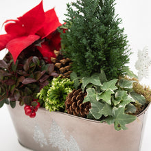 Load image into Gallery viewer, Pax