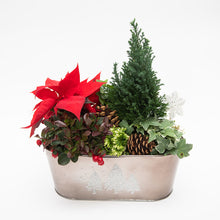 Load image into Gallery viewer, Pax