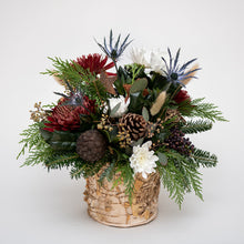 Load image into Gallery viewer, Rudy