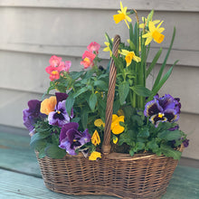 Load image into Gallery viewer, Spring Blooming Baskets