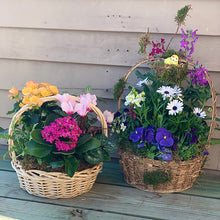 Load image into Gallery viewer, Spring Blooming Baskets