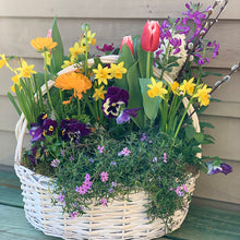 Load image into Gallery viewer, Spring Blooming Baskets