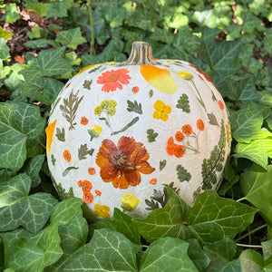 Pressed Flower Pumpkin Workshop
