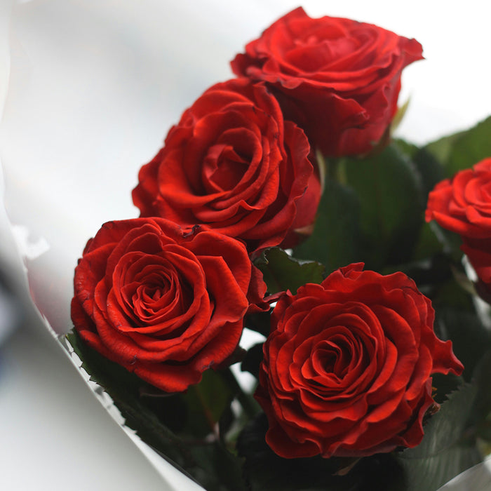 Classica Bouquet of Roses
