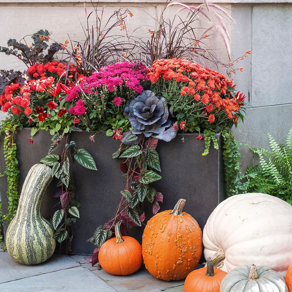 Fall Porch Arrangement Workshop