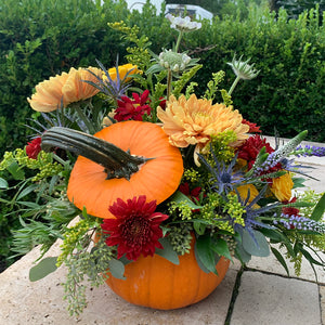 Fall Floral Pumpkin Arrangement Workshop