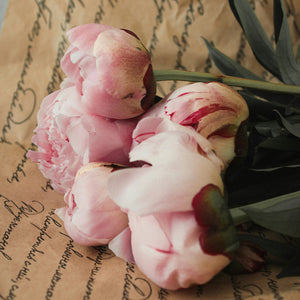 Princess Peonies