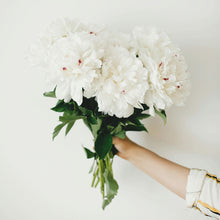 Load image into Gallery viewer, Princess Peonies
