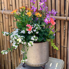 Load image into Gallery viewer, Garden Inspired Baskets
