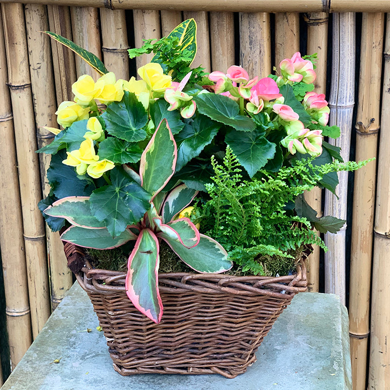 Blooming Basket