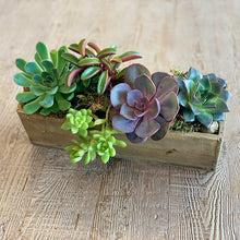 Load image into Gallery viewer, Succulent Garden
