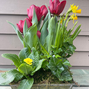 Spring Blooming Arrangement Workshop