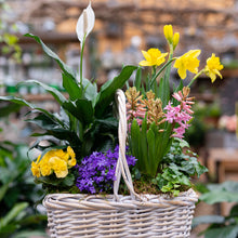 Load image into Gallery viewer, Wicker Blooming Basket
