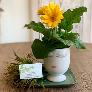 Celfie Planter and Gift Card Combo